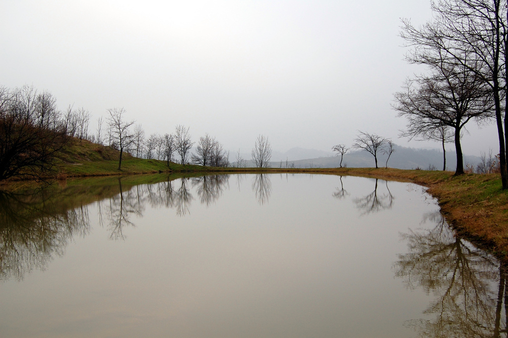 Riflessi sul laghetto