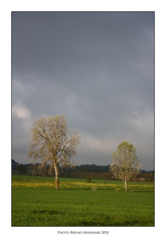 Contrasti paesaggistici