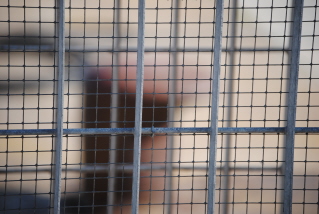 mai dietro le sbarre