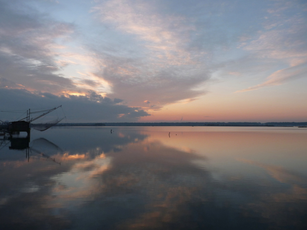 C'� un albero nel deserto da che te ne sei andata...