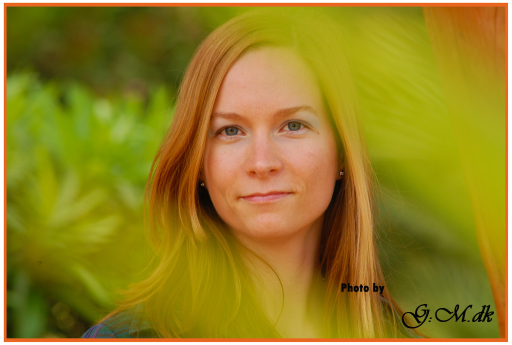 in mezzo al verde....