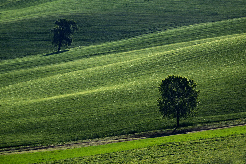 Campagna marchigiana