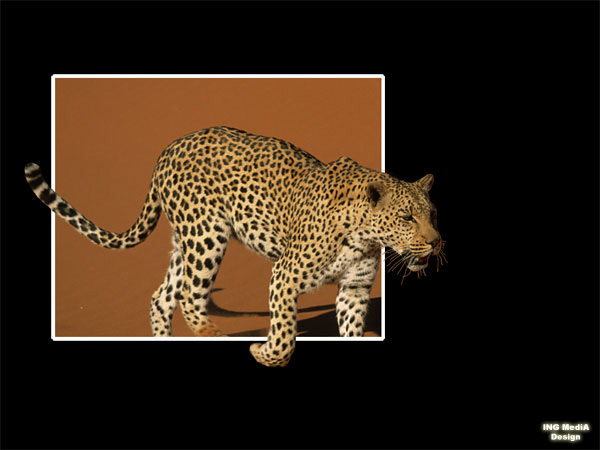 Passeggiata nel deserto