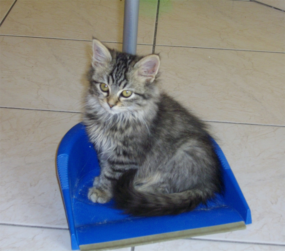 mariannuccia no limits