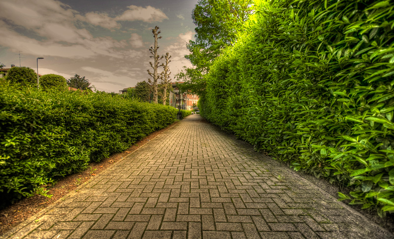 a passeggio con i miei pensieri