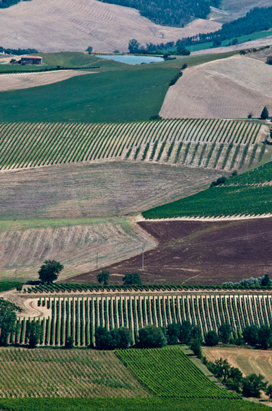 Terre di Siena