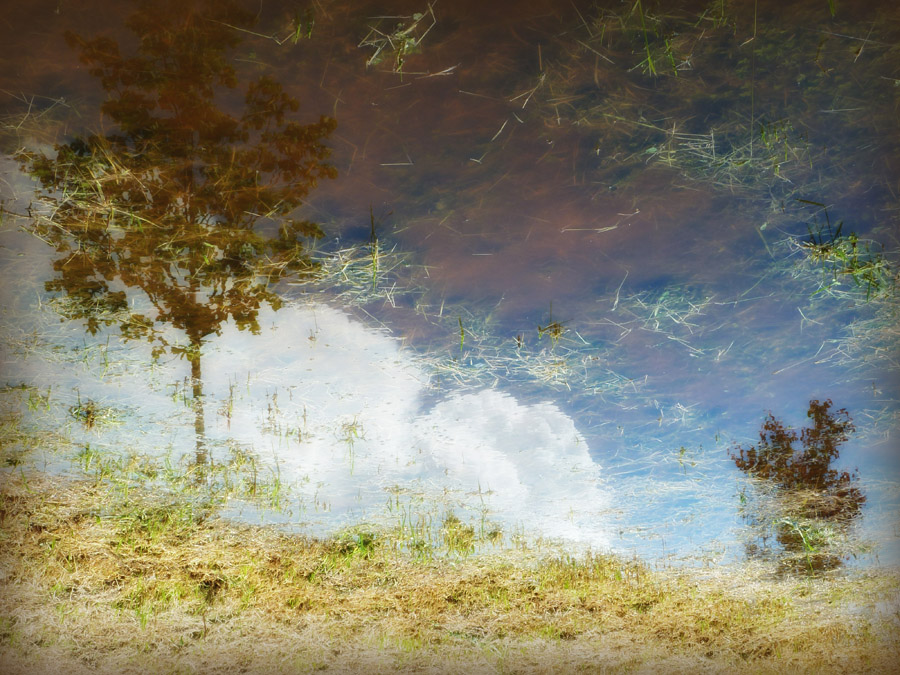 il mondo che vorrei..