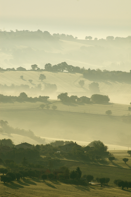 Nebbiolina di primo mattino