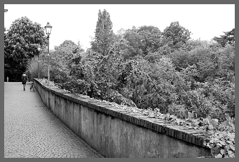 Pinerolo zona S. Maurizio