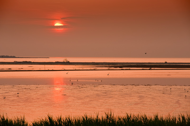 Alba nel Dalta del Po