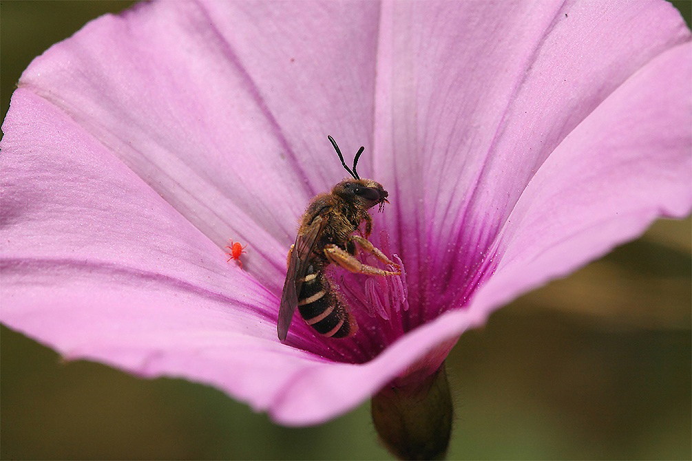 ...In Cerca Di Amicizia....!!!