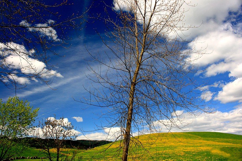 Altopiano di asiago.....Puzzle di primavera....