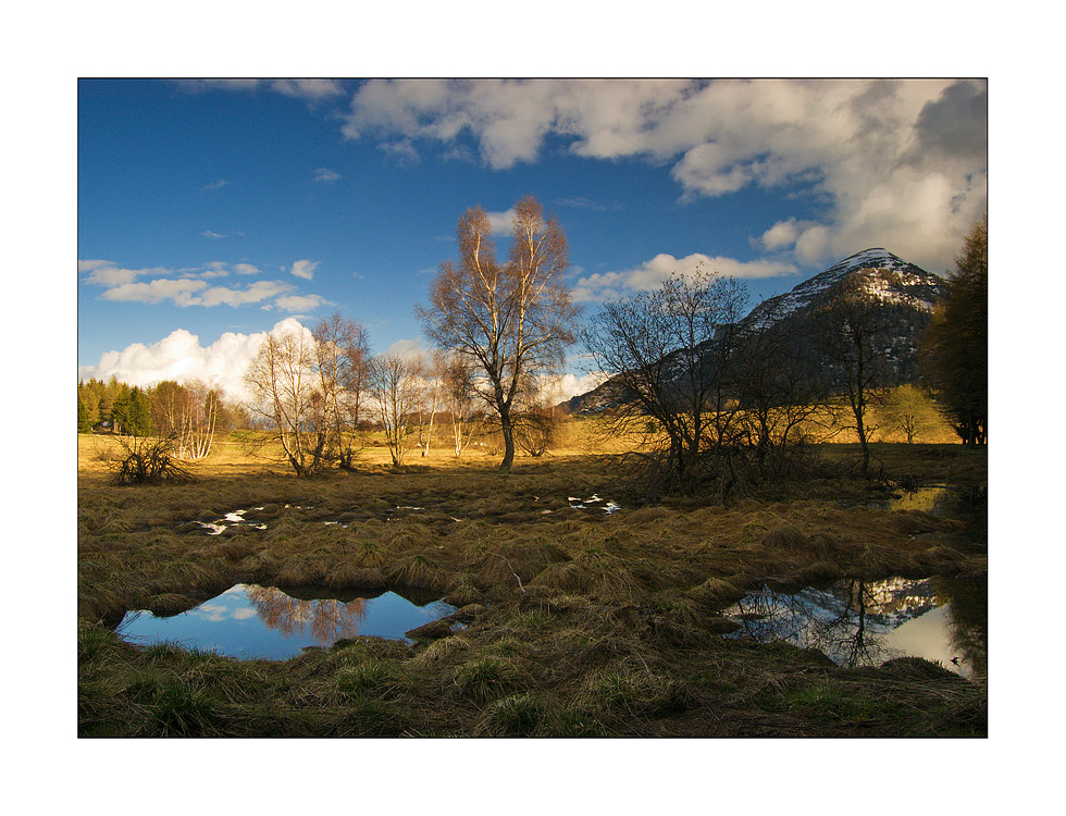 Gli Occhi della Luce