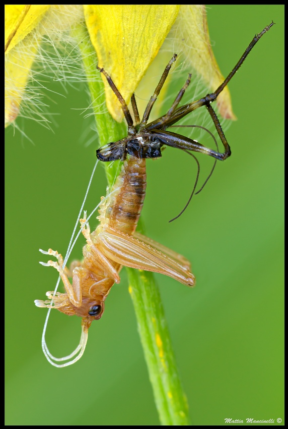 Cambio di vestito...