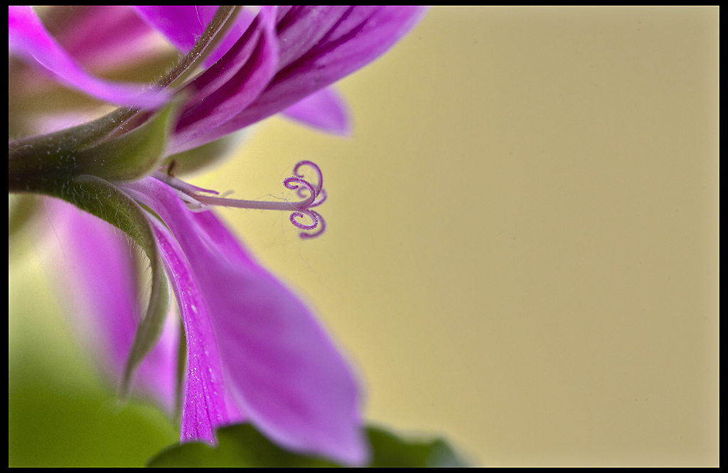 Il numero perfetto...