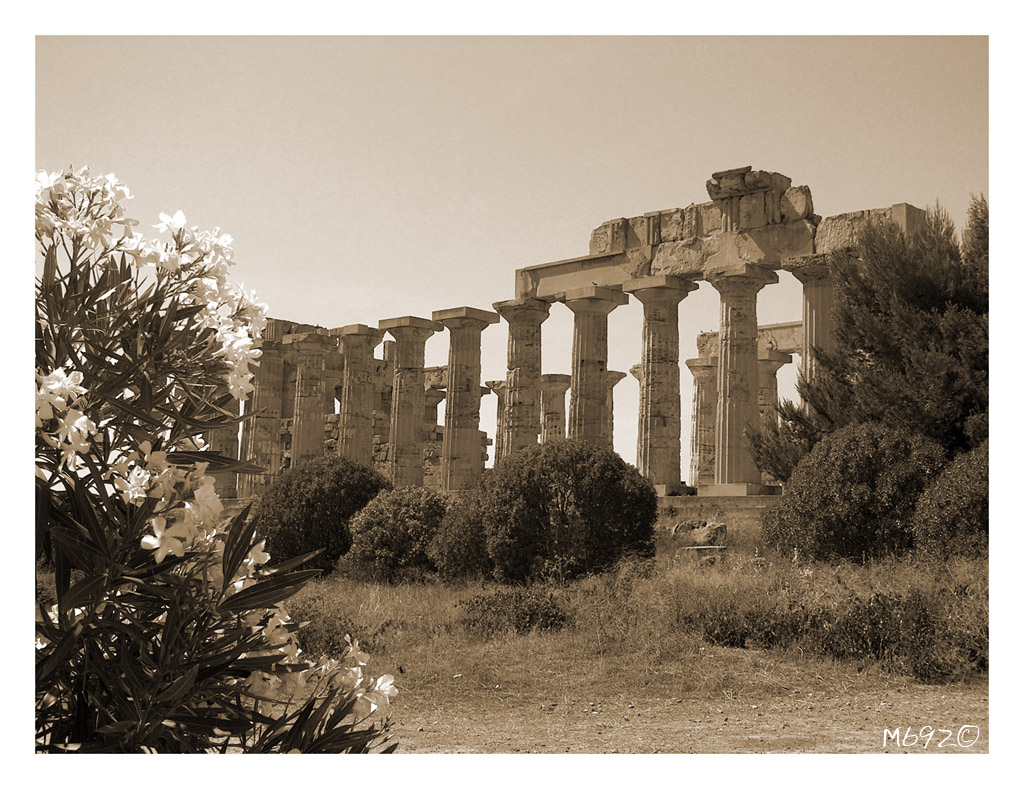 Tempio di Era - Selinunte