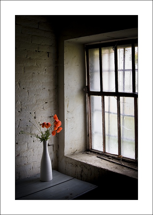 Looking for the Light