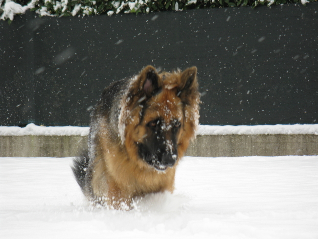 tommy, di Federico Beria