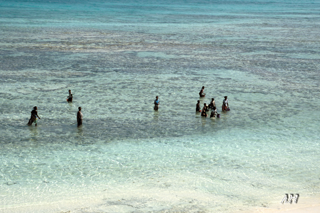 Madagascar - Raccolta dei frutti di mare