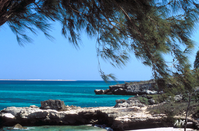 Madagascar - Scorcio ad Andavadaoka