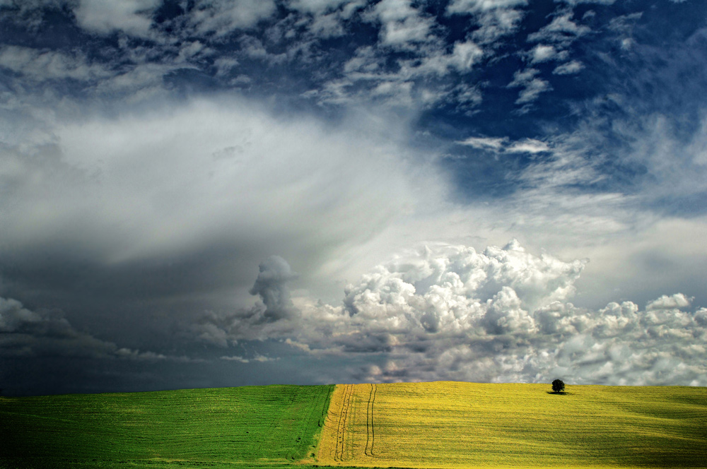 Alberino..Piccino..Piccino...