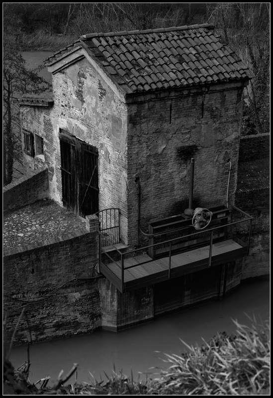 Lungo il fiume-particolare