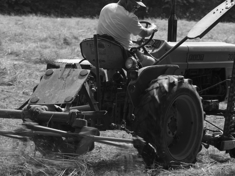 L'arte dello sfalcio