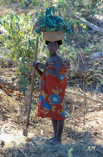 Madagascar - vita lungo il fiume