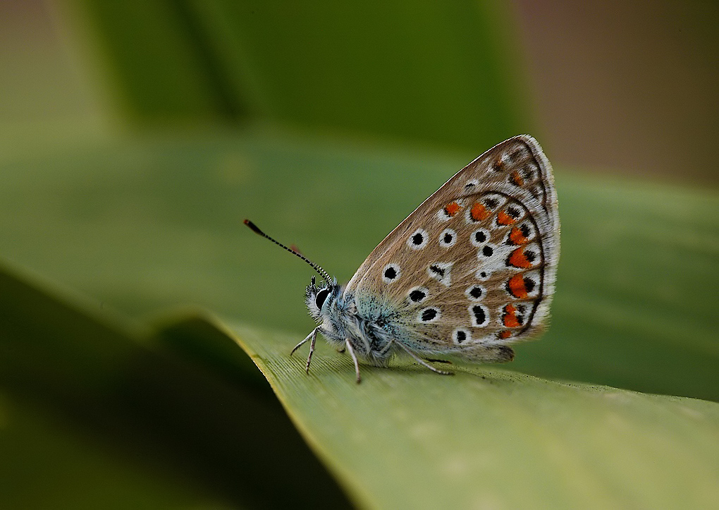 ...Tra Le Onde...!!!