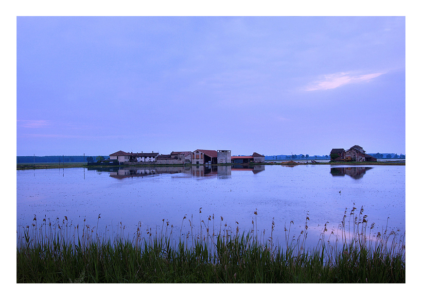 Tramonto sulla risaia