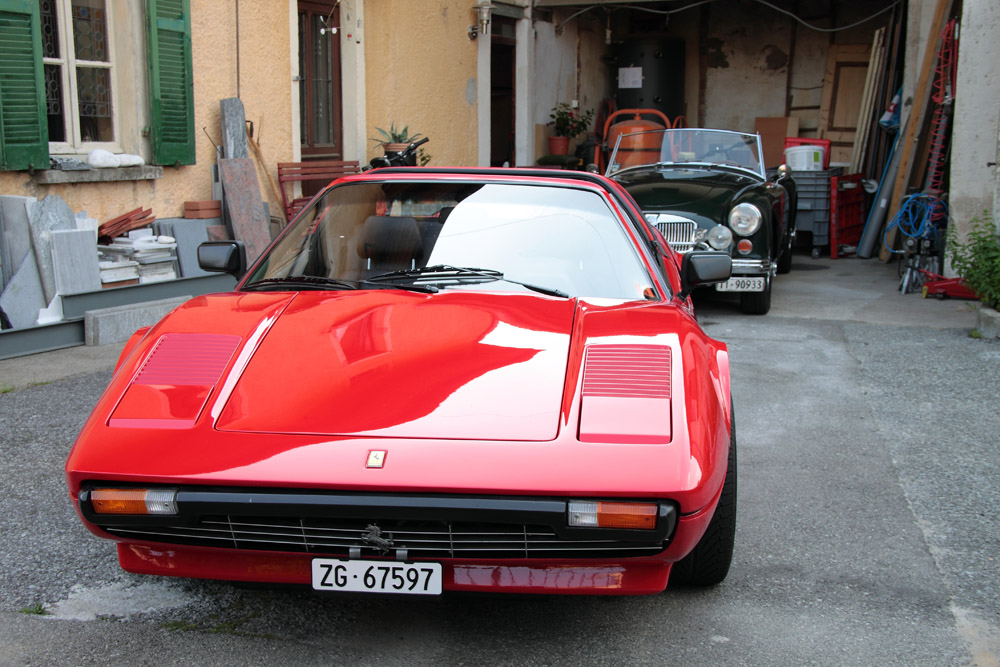 Sorpresa in un vecchio cortile