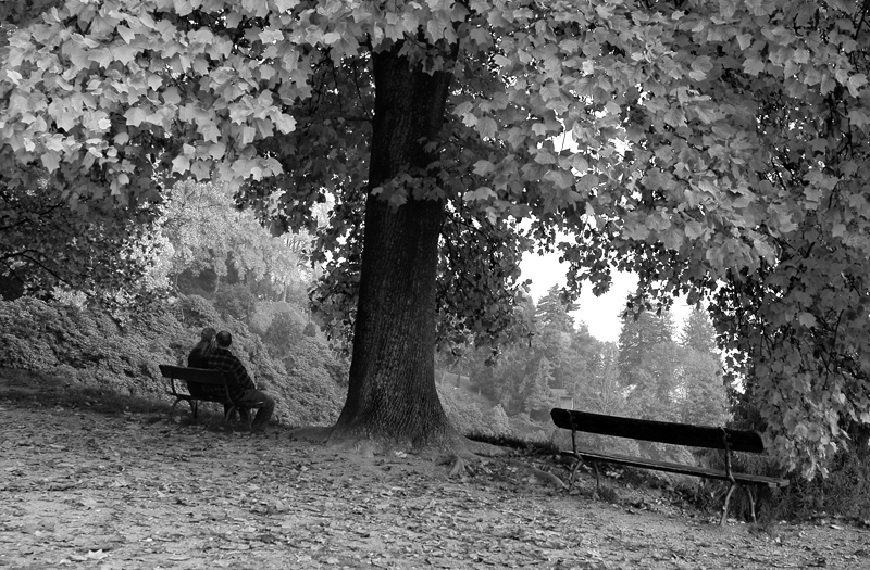 Pace e tranquillit�