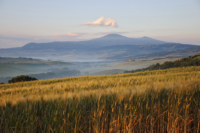 Val d'Orcia