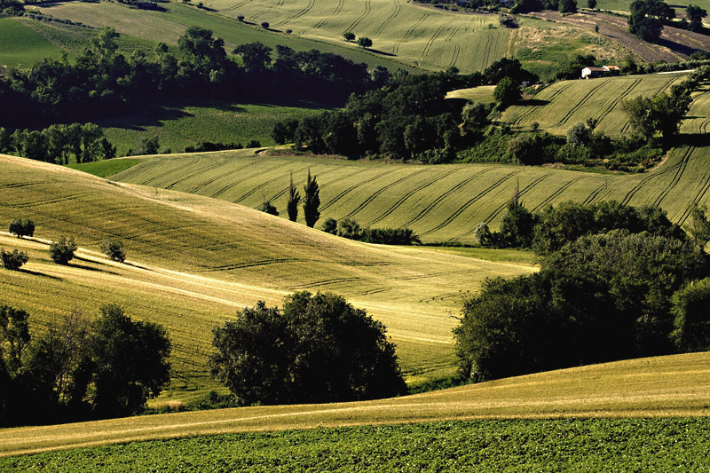 Campagna marchigiana