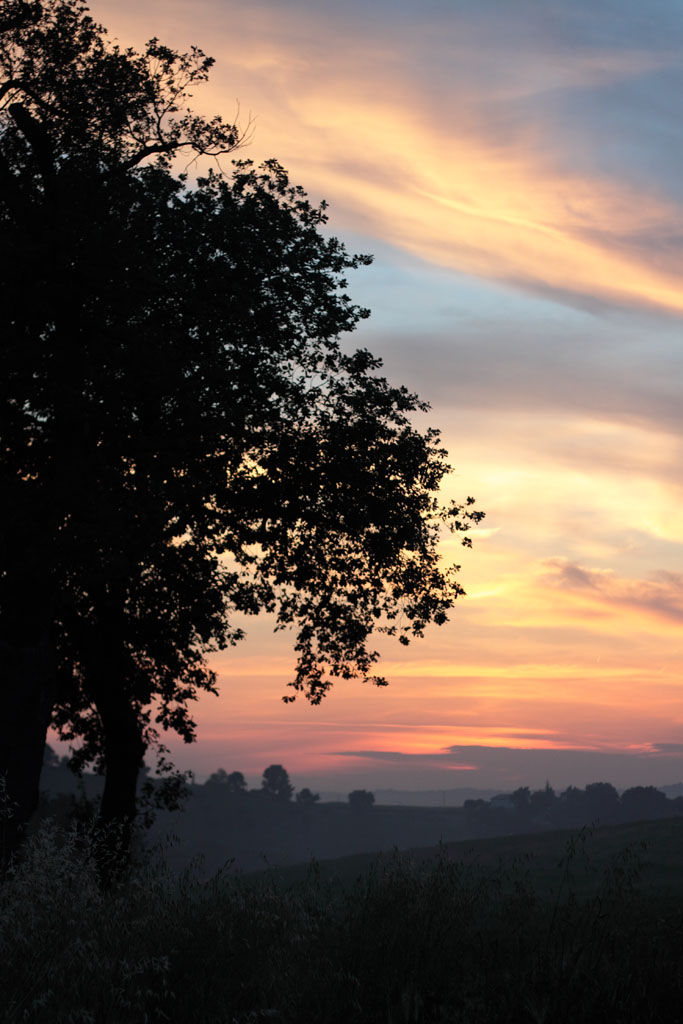 Tramonto di campagna