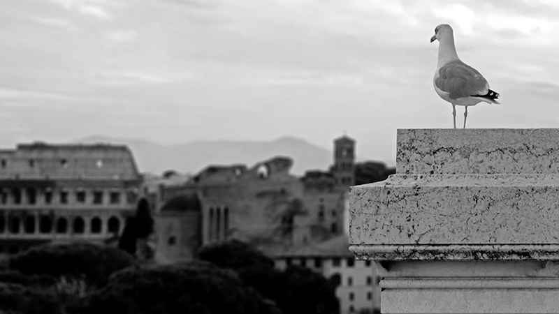 Another Point of View: Jonathan.