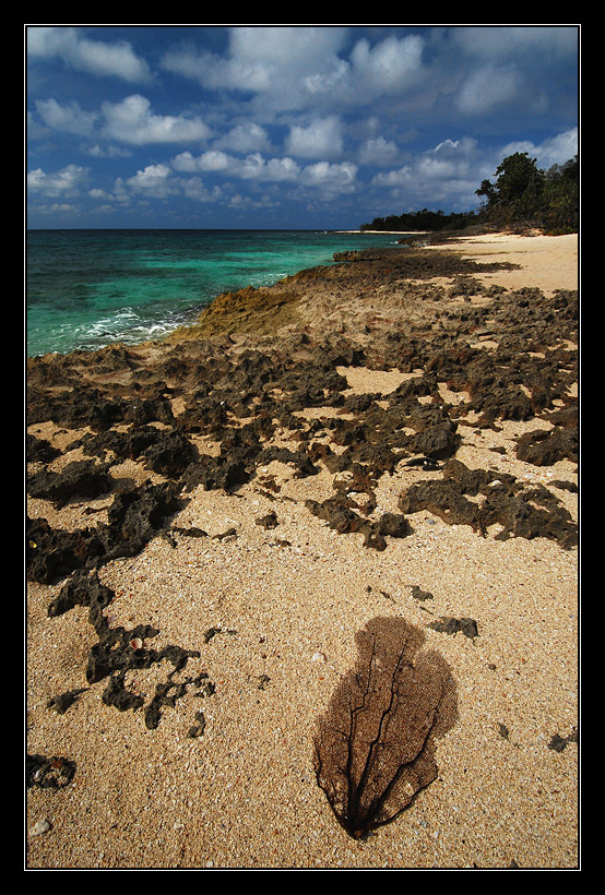 Racconto di un naufrago