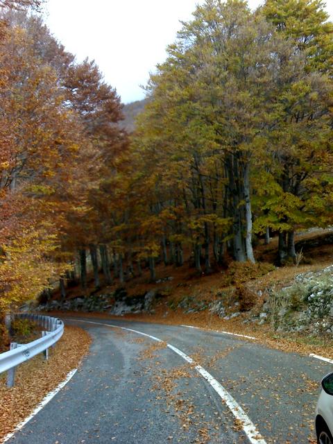 Campocatino (autunno)