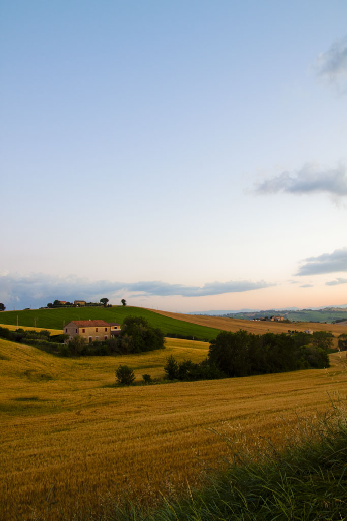 Scorcio di campagna