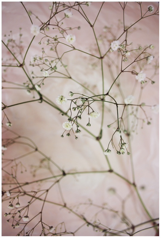 forte  e delicata fiori di sposa