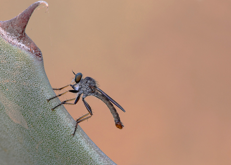 ...Anche Di Profilo...!!!