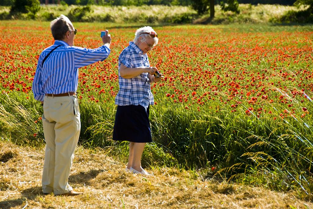 A me non � venuta...provaci tu...!