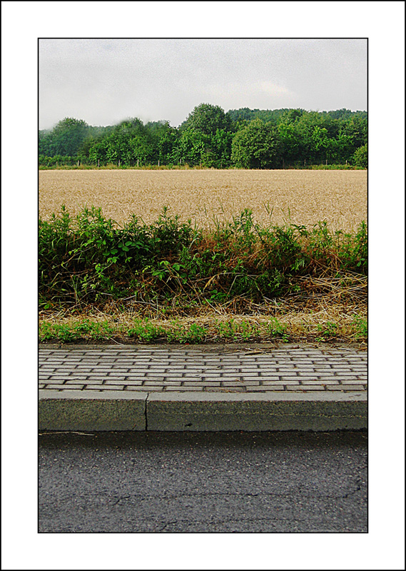 c, p, g, s, e, m, c, s.