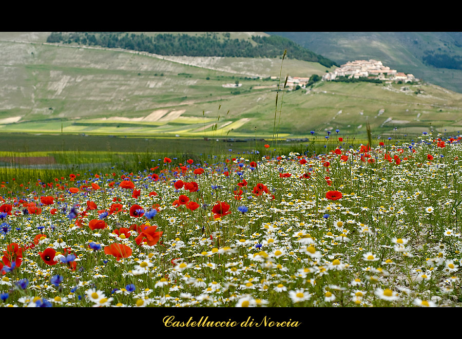 castelluccio di norcia