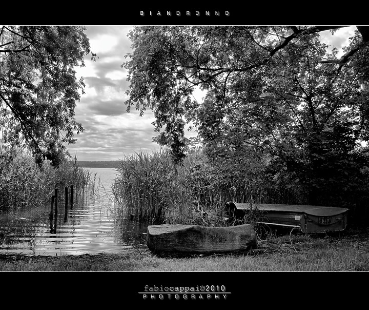 :: BIANDRONNO... [01-01]