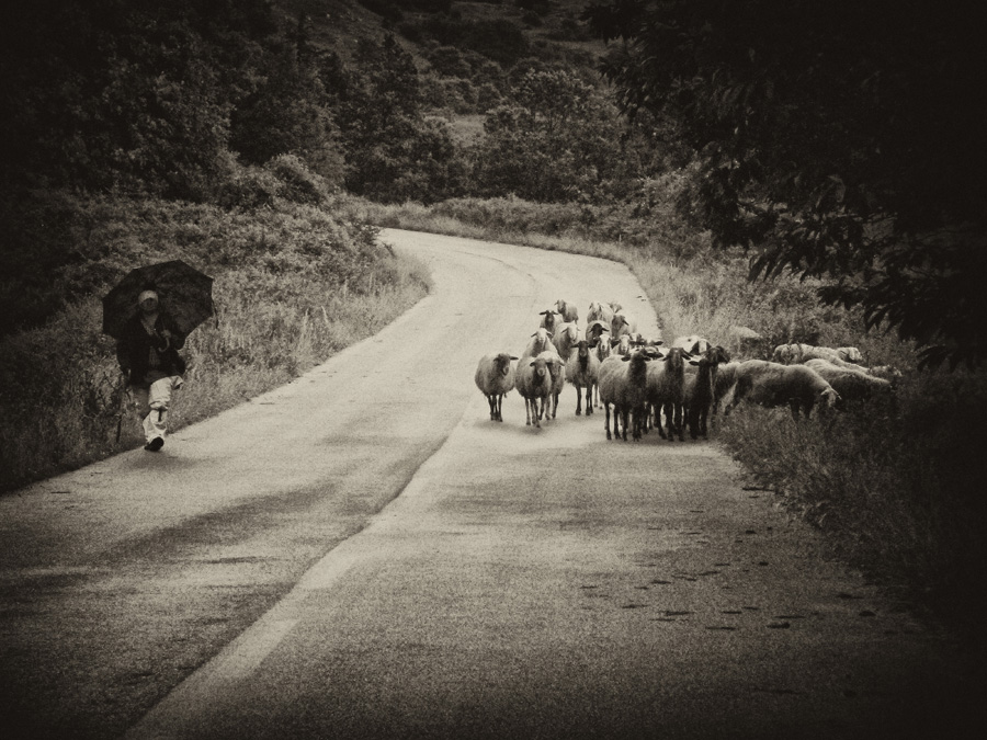 a spasso nel tempo..