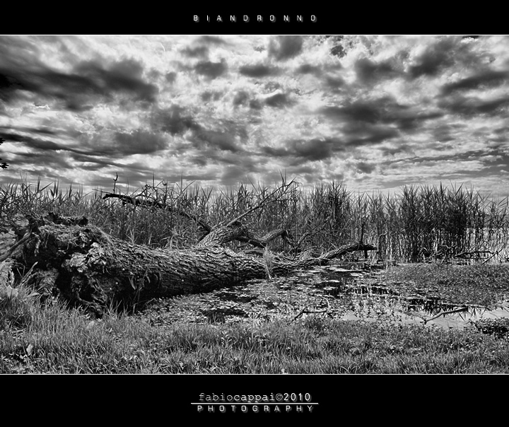 :: BIANDRONNO... [01-02]