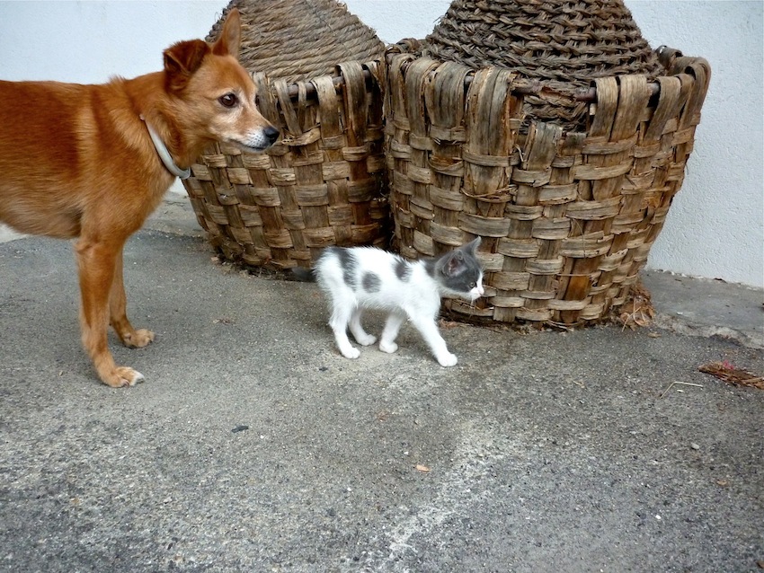 al piccoletto ci penso io....