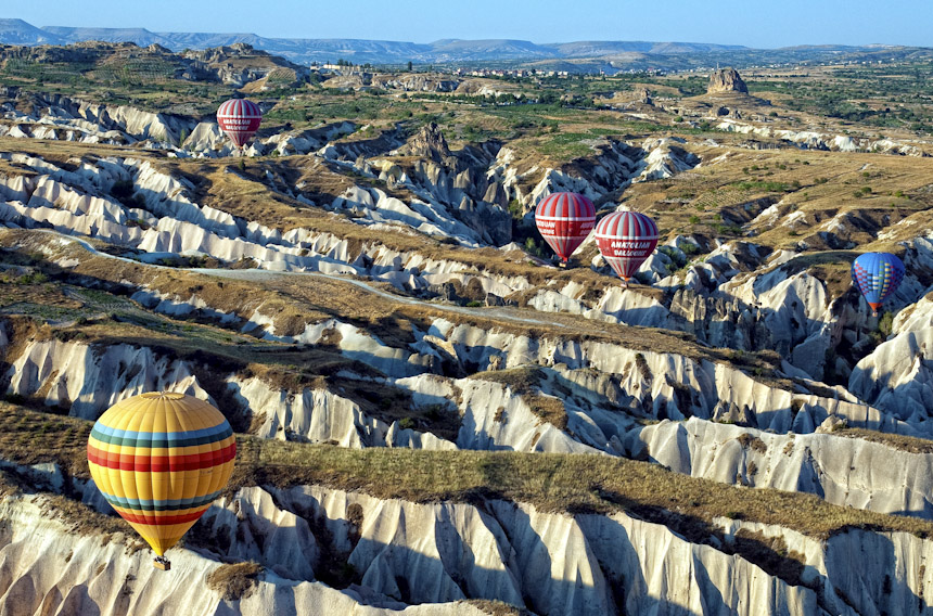 verba manent (originale)