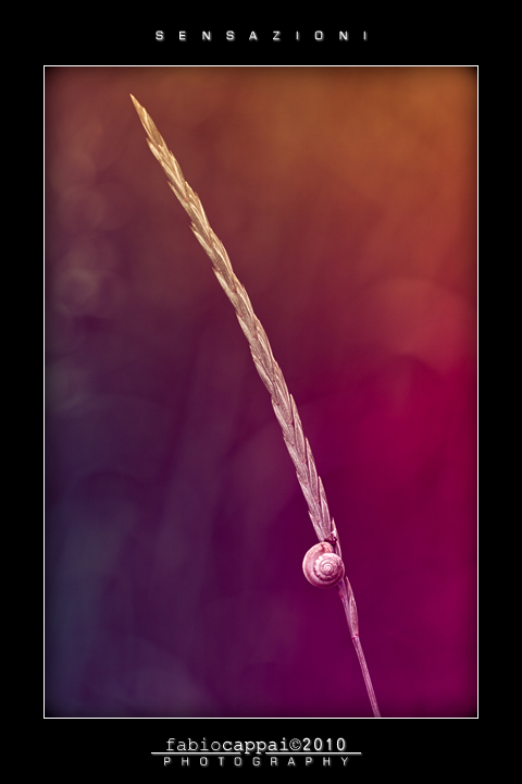 :: SENSAZIONI... [01-01]